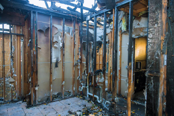 Professional Odor Removal technician working in Lebanon, NJ