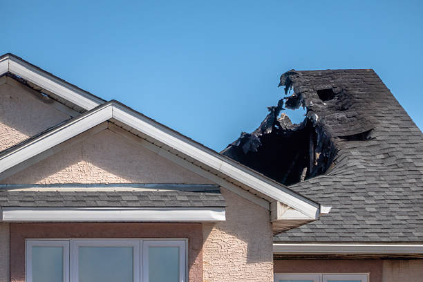 Top rated local Odor Removal specialists in Lebanon, NJ